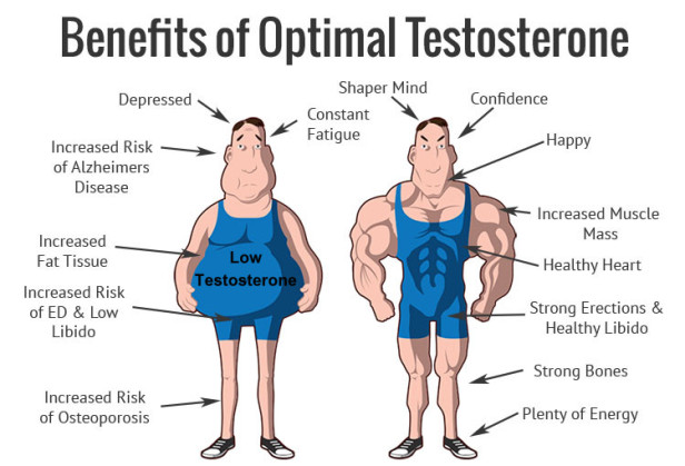 testosterone booster