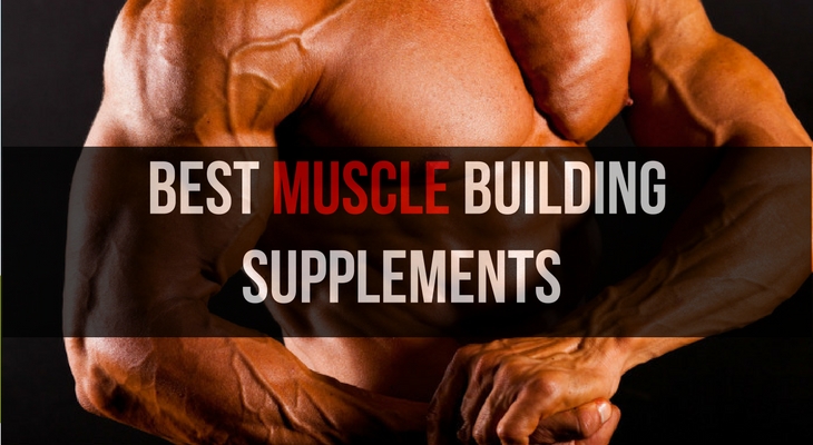 gain muscle mass